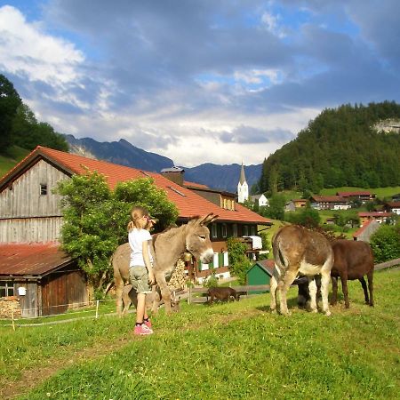 Haus Willi Apartment Oberstdorf Exterior photo